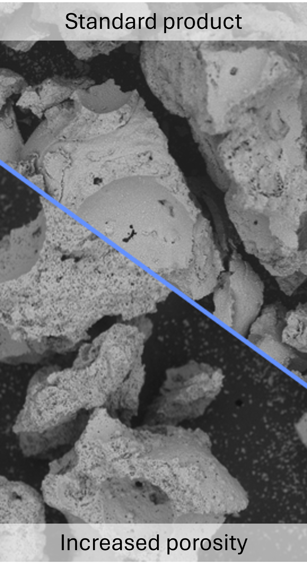 HA/β-TCP Granules | 500-1000 µm | CAM Bioceramics
