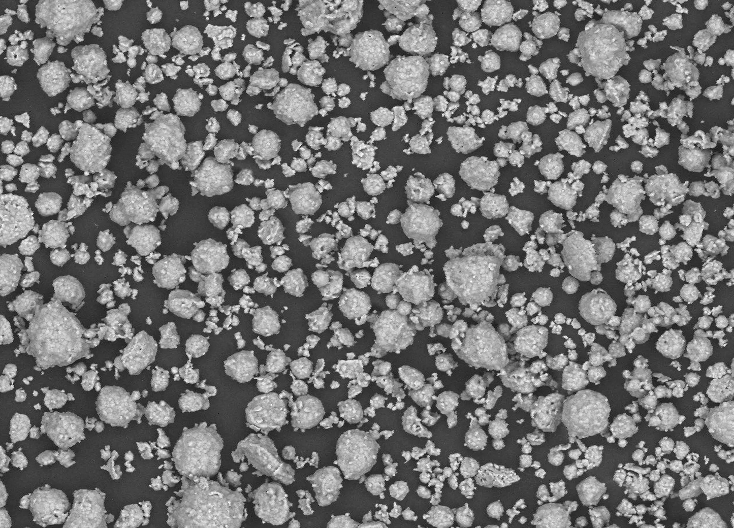 HA/β-TCP Granules | 400-700 µm | CAM Bioceramics