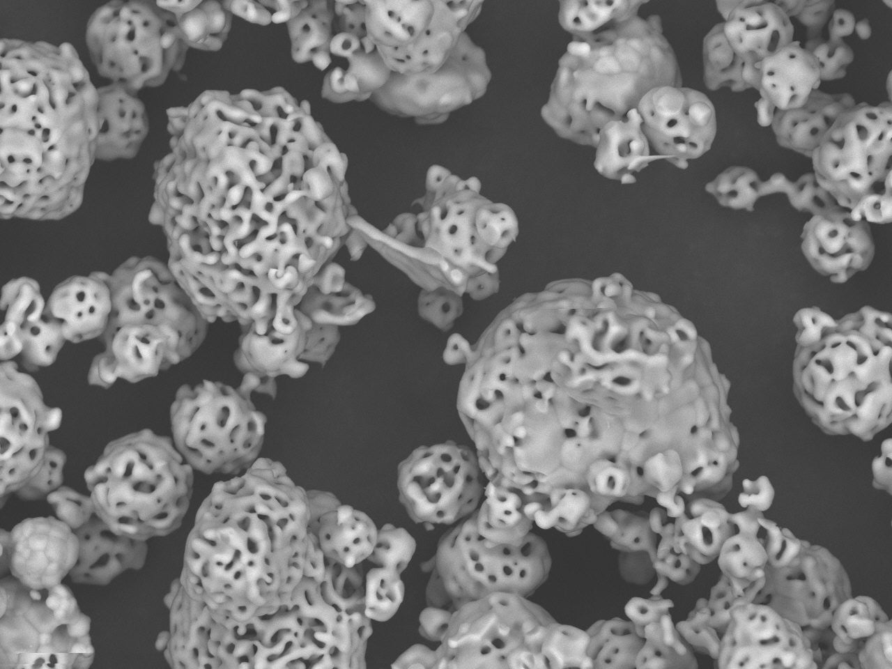 α-TCP Powder